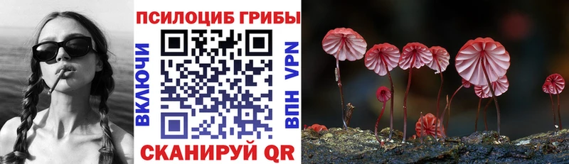 Псилоцибиновые грибы ЛСД  Алапаевск 